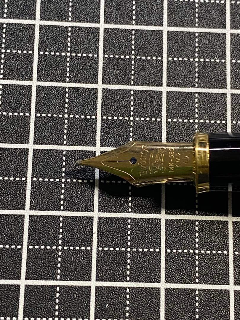 Burberry NOVA 布張り　万年筆　字幅M