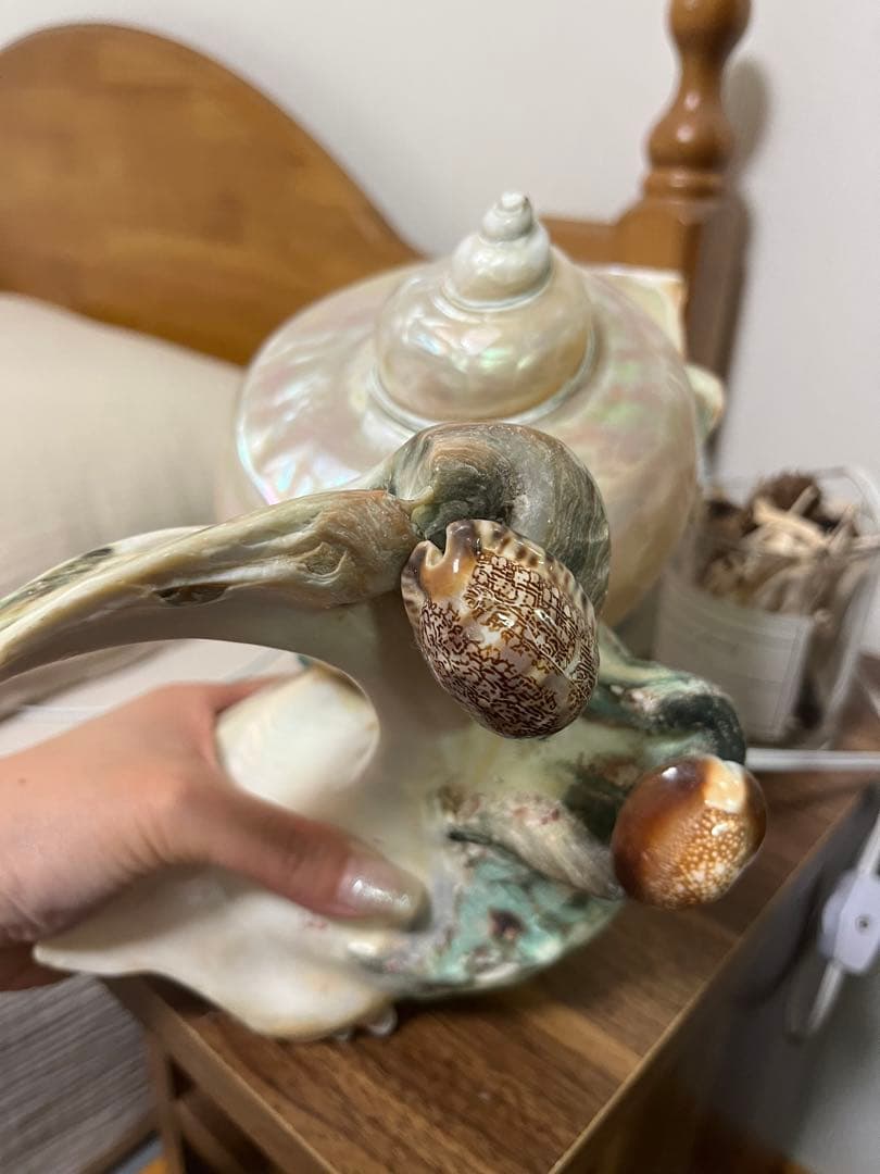 夜光貝　インテリア　ライト　小物