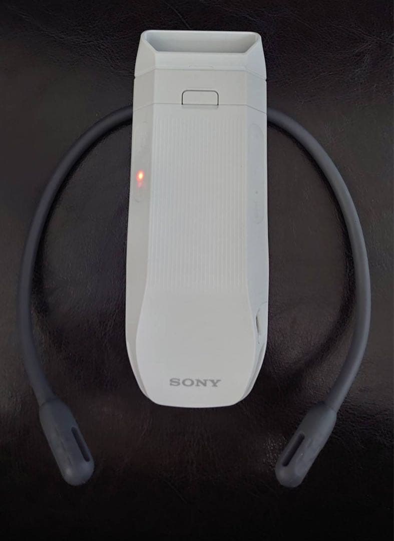 【美品】SONY REON POCKET PRO RNPK-P1