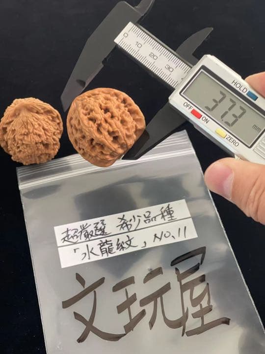 遊び胡桃 希少品種 超厳選水龍紋No.11 くるみ 趣味健康グッズ コレクション