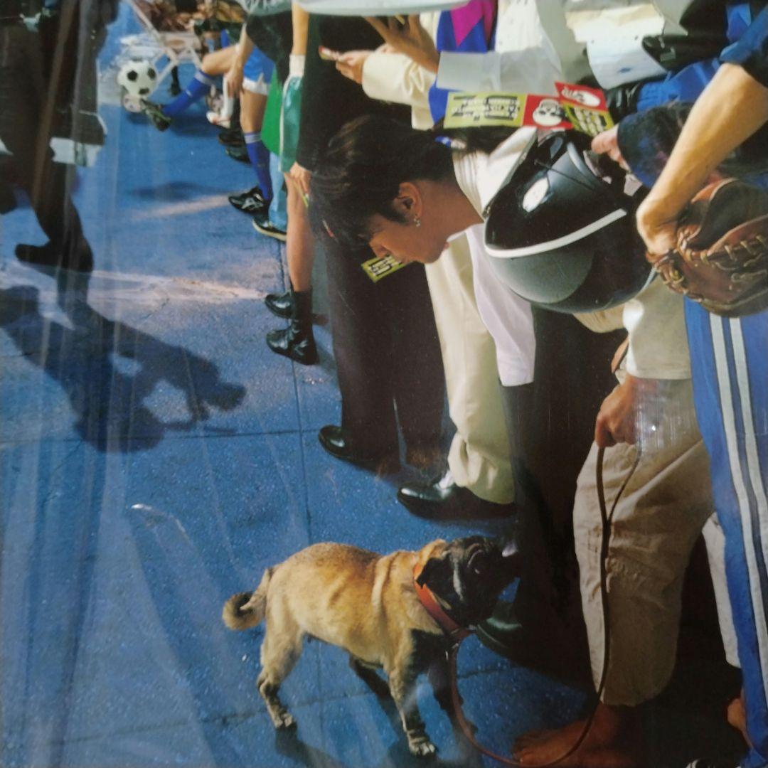 B'z　TREASURE　ポスター 2枚 　FYOP　サイン　Blu-ray