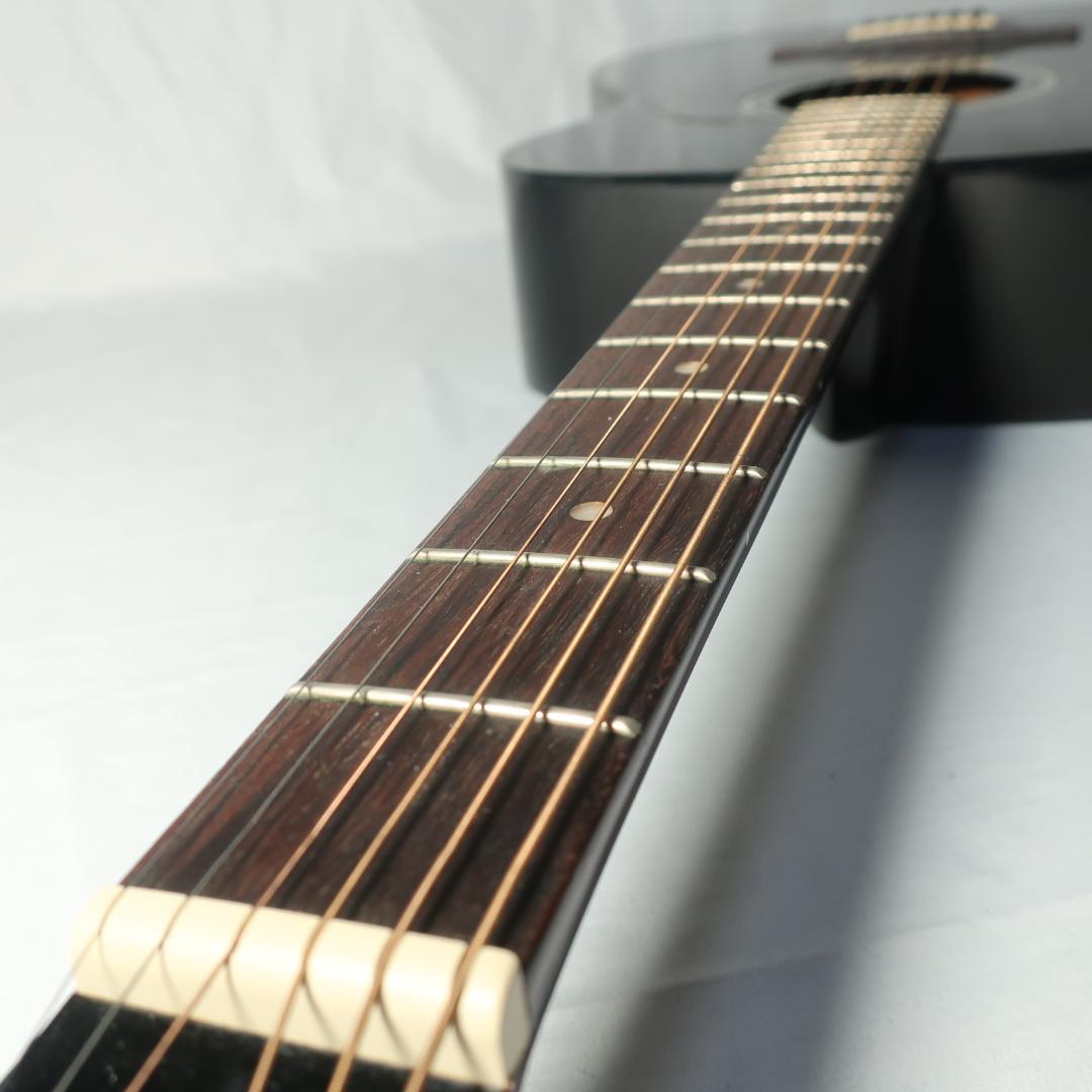 Aria Dreadnought AF-280BK ギター ケース付