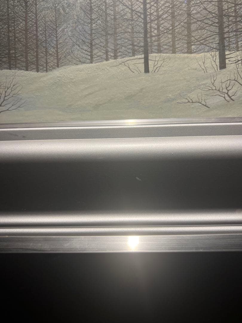 リアリズム　宮西東洋雄　肉筆日本画　直筆印あり