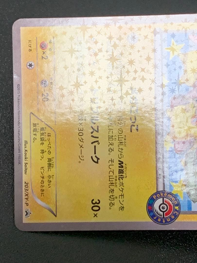 ポンチョを着たピカチュウ　203/xy-p