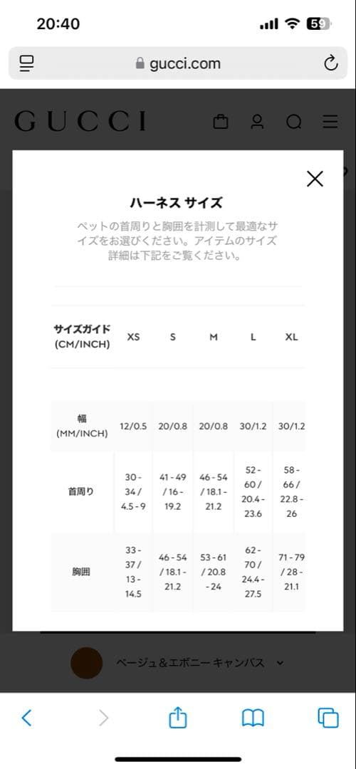 GUCCI ブラック レザー ハーネス