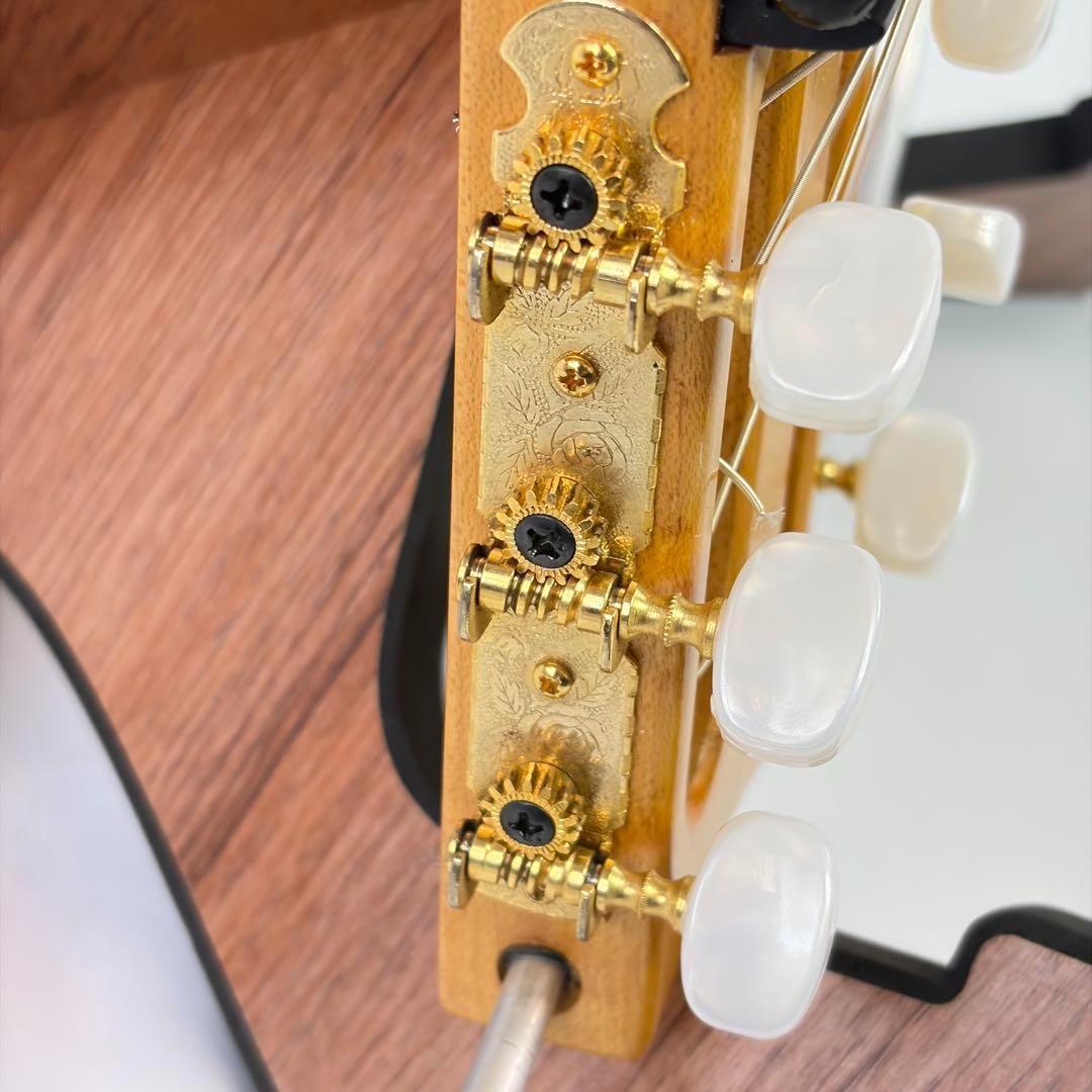 ARIA Sinsonido AS-100C サイレント ガットギター