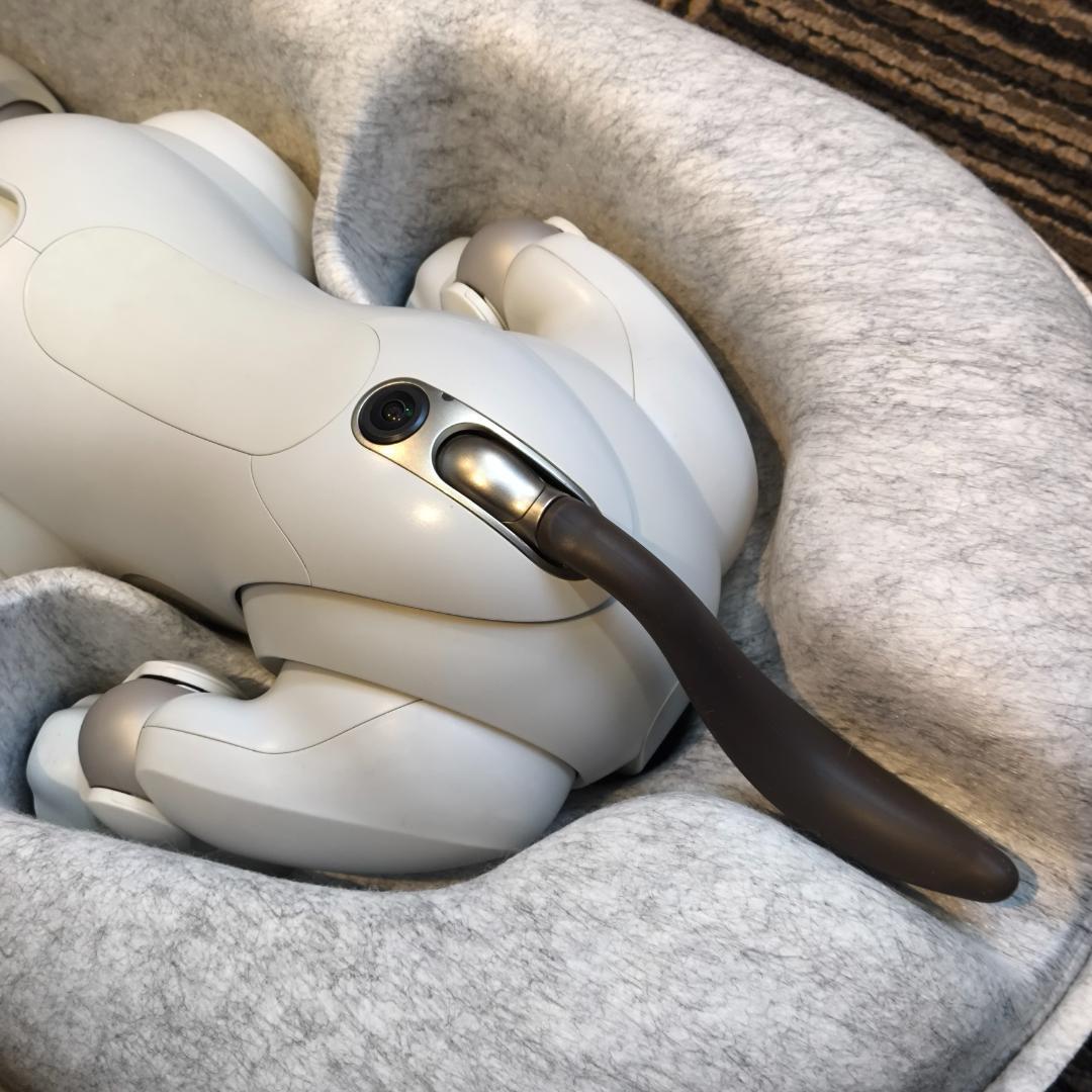 【メーカー修理済み】 aibo アイボ / ERS-1000 /ソニー SONY