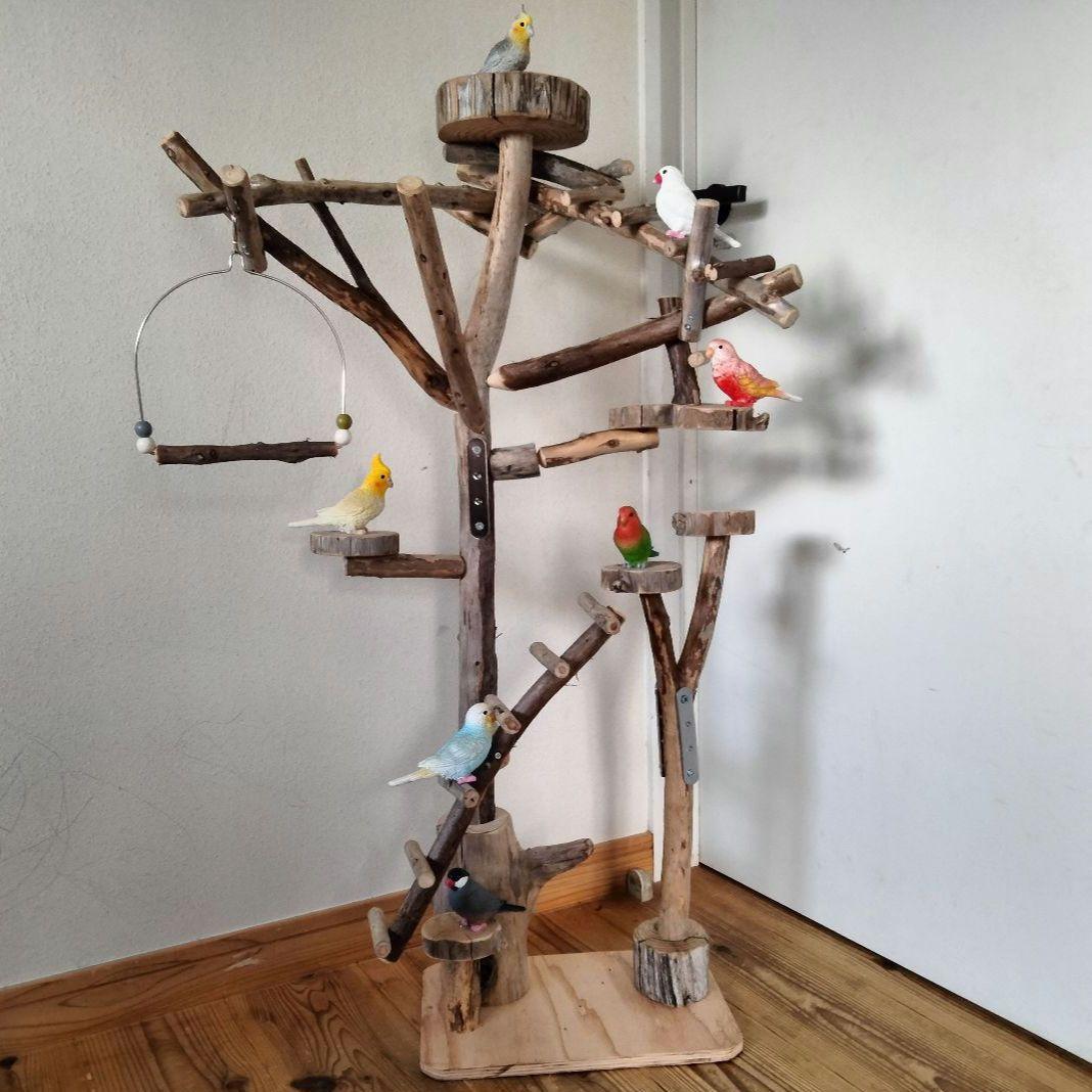 バードアスレチックジム㊼ 天然木 自然木 流木 止まり木 インコ