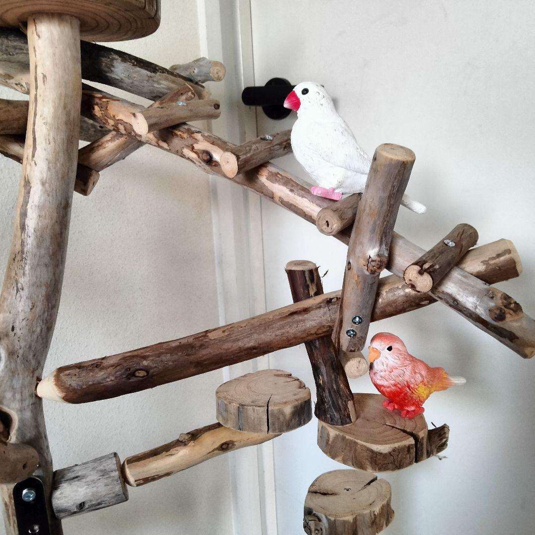 バードアスレチックジム㊼ 天然木 自然木 流木 止まり木 インコ