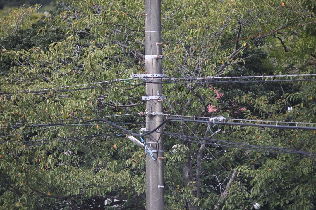 レンズ(単焦点) Pentax Takumar 200mm f/3.5 #7660