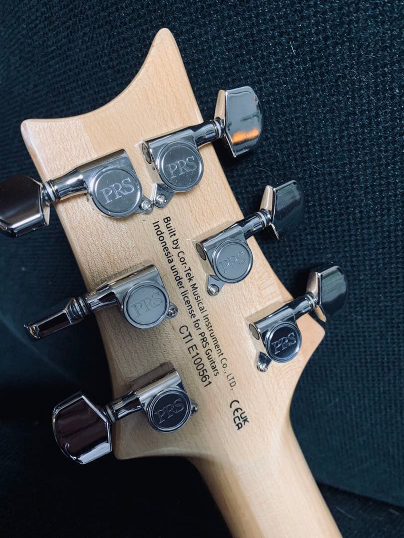 ギター PRS SE SE Custom 24