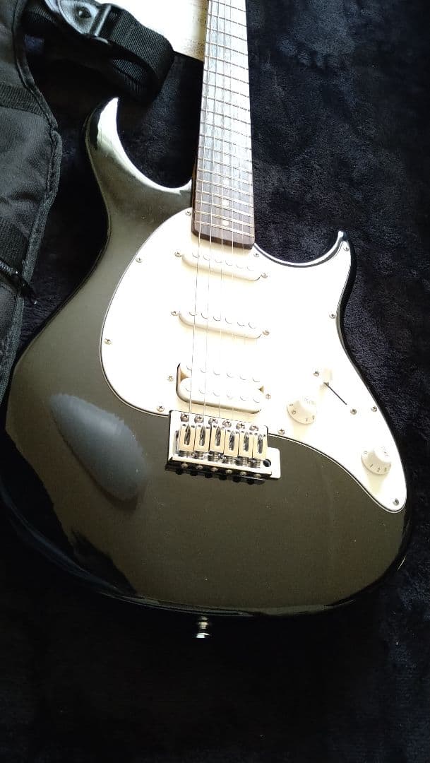 ギター PEAVEY RAPTOR PLUS EXP