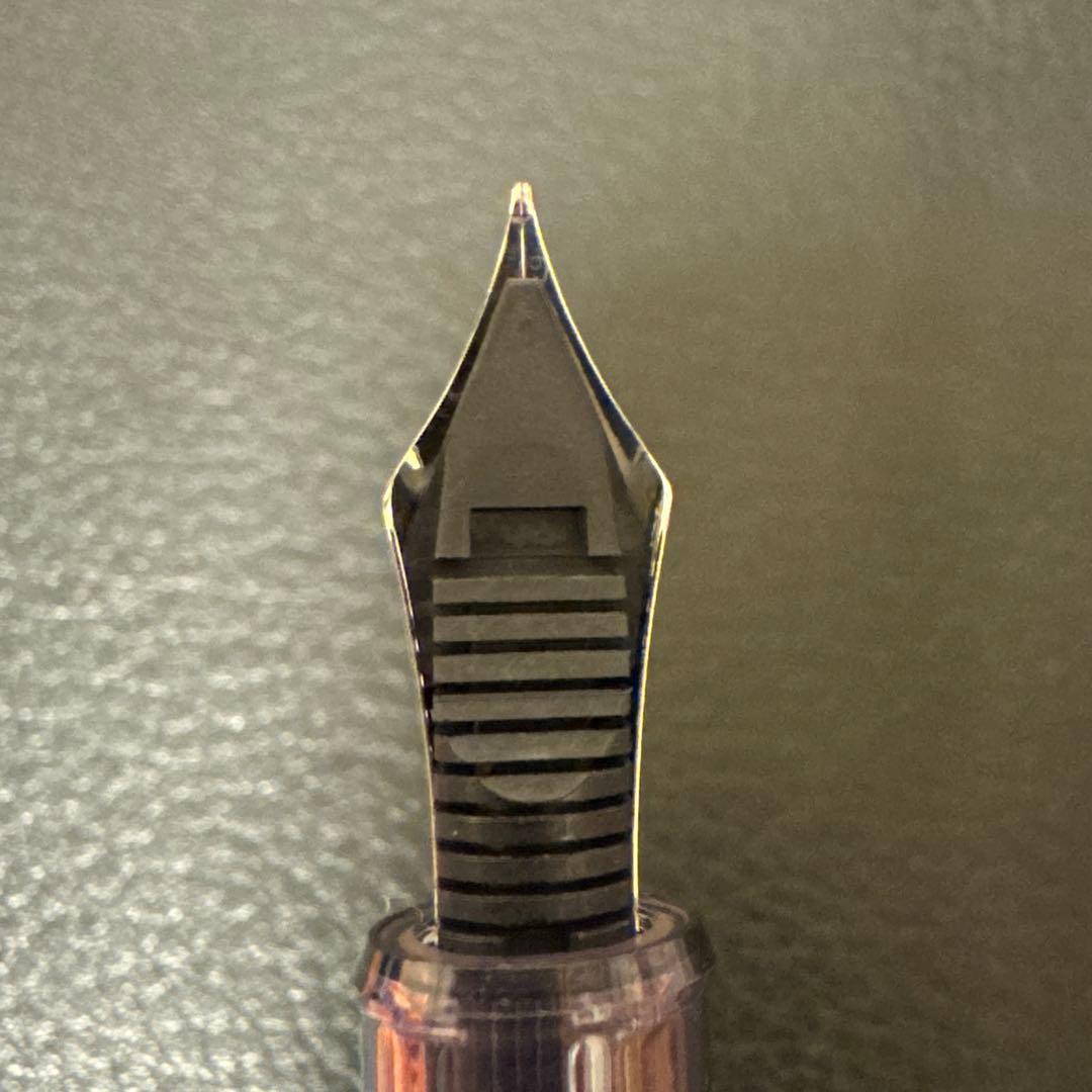 さぼてんくん　紫雲　富士旬景　#3776センチュリー　M字（中字）