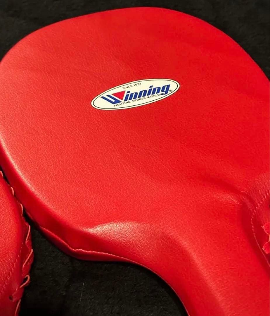 【美品】ウイニング(wining)ハンドミット 2個セット