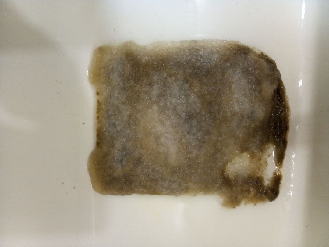 エーハイム　プロフェッショナル4　2273