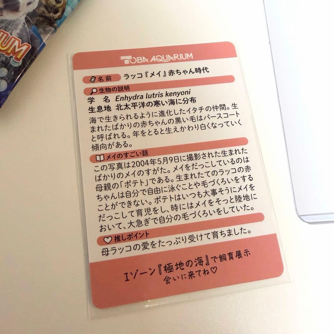 鳥羽水族館　コレクションカード　メイ　ポテト