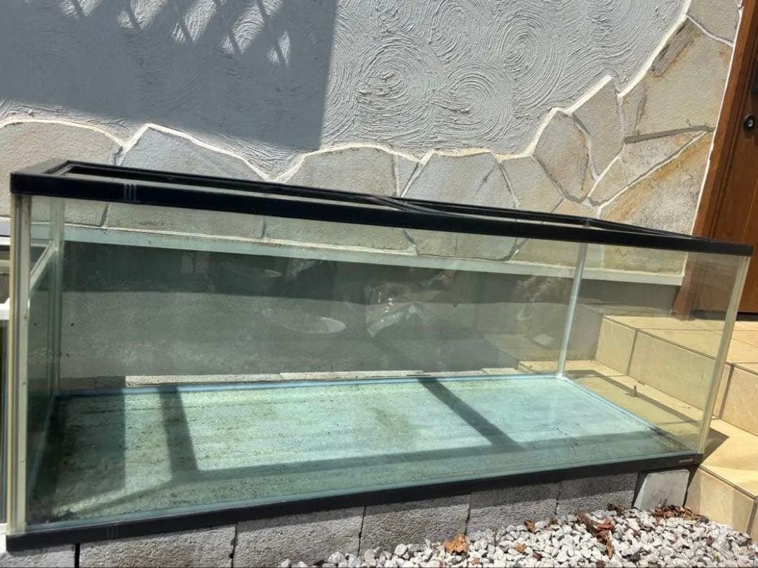 コトブキ　120センチ水槽　引取り限定　おまけ付き