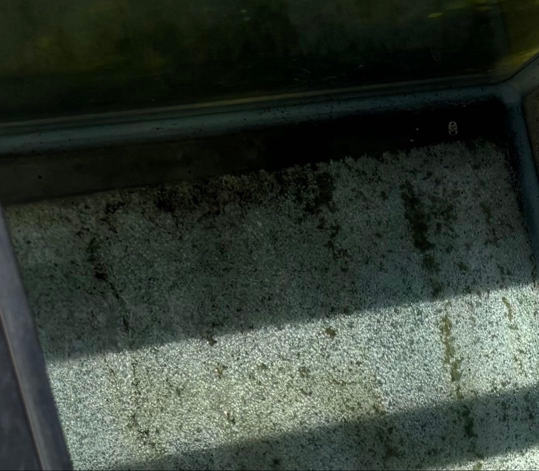 コトブキ　120センチ水槽　引取り限定　おまけ付き