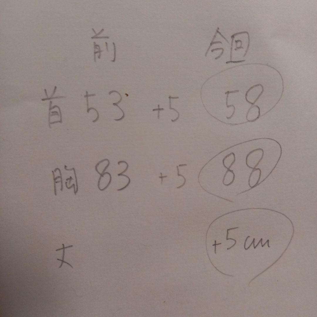 グレー系ボーダー　裏毛ニット