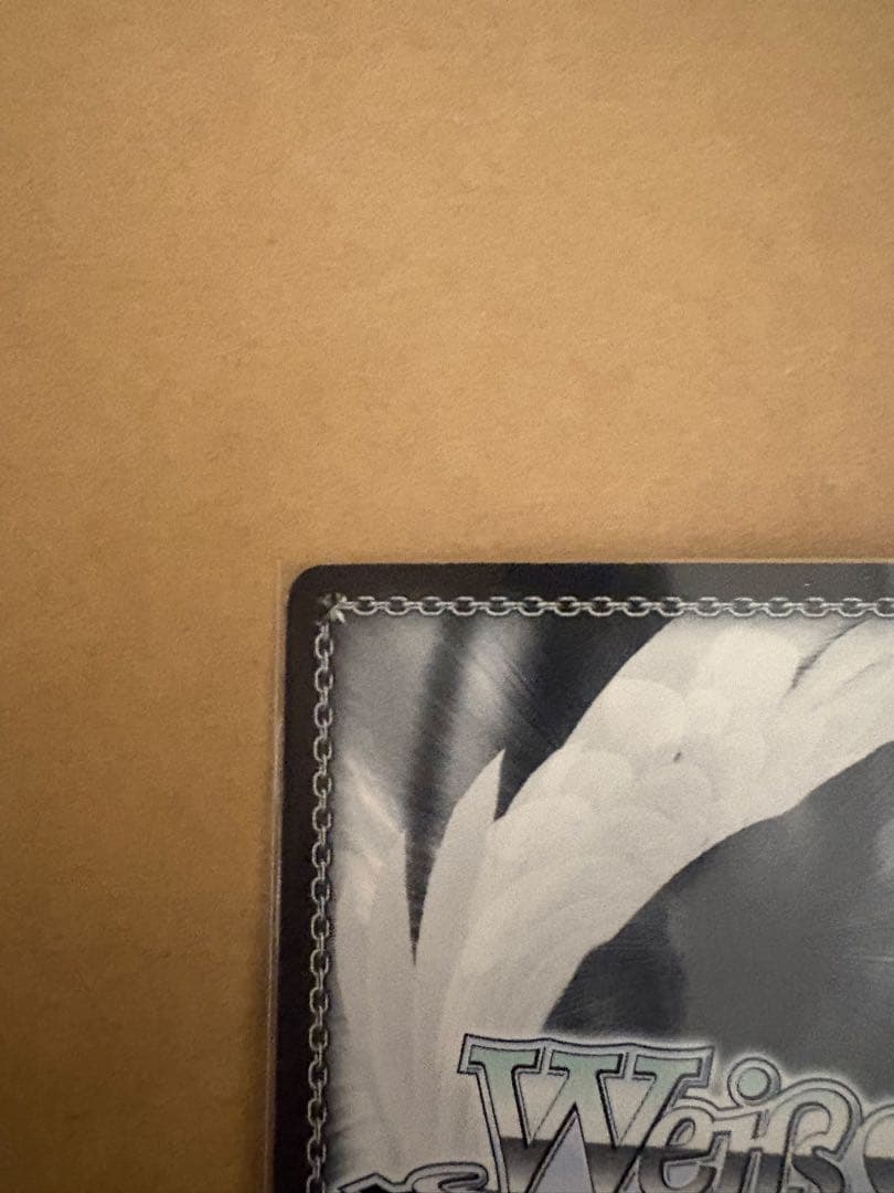 \"自由をち掴むため\"サシャ　サイン　sp