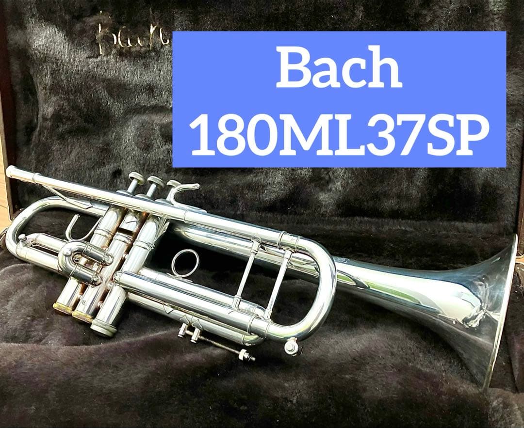 Bachバック トランペット 180ML37SP