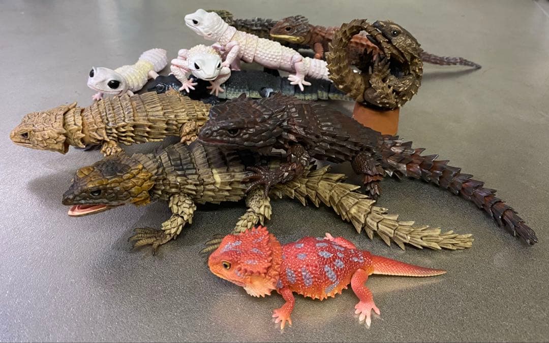 アルマジロトカゲ ほか 11体セット いきもの大図鑑 トカゲ