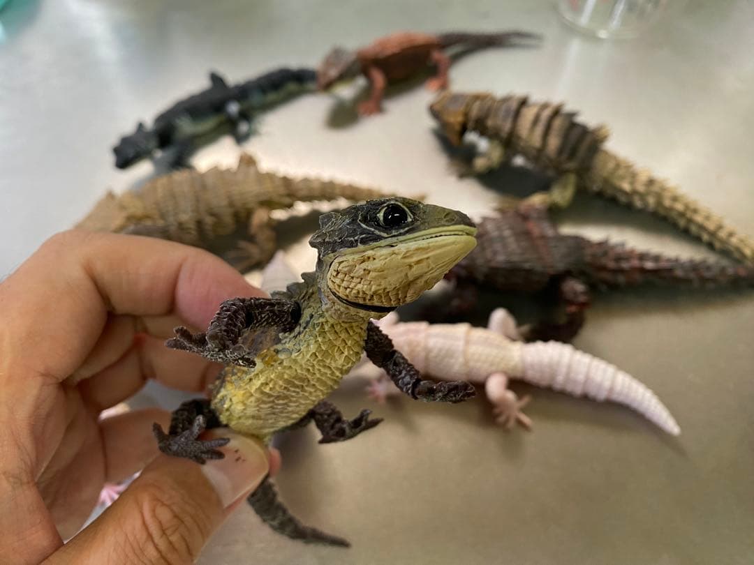 アルマジロトカゲ ほか 11体セット いきもの大図鑑 トカゲ