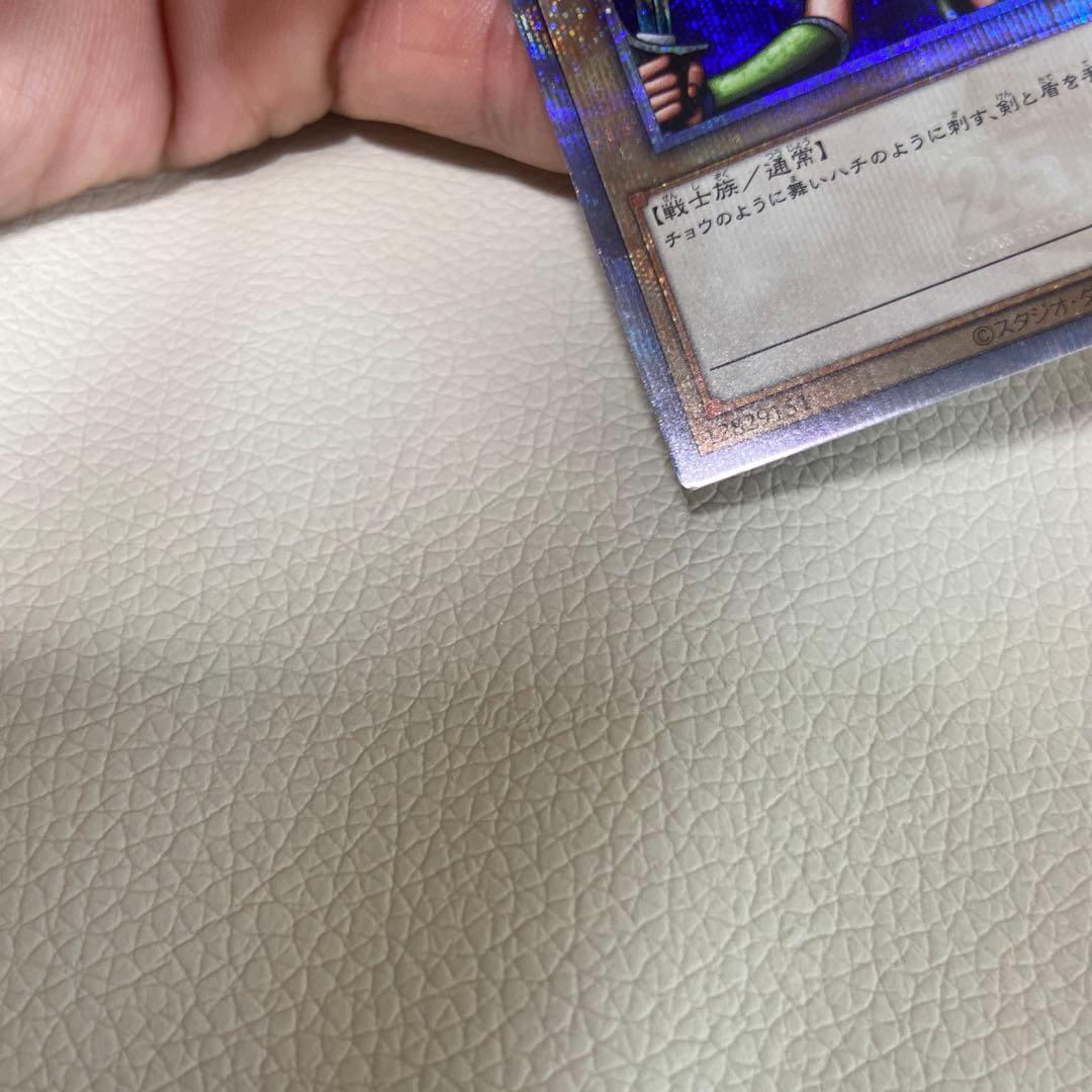 テイコウペンギン　女剣士カナン　25th クオシク