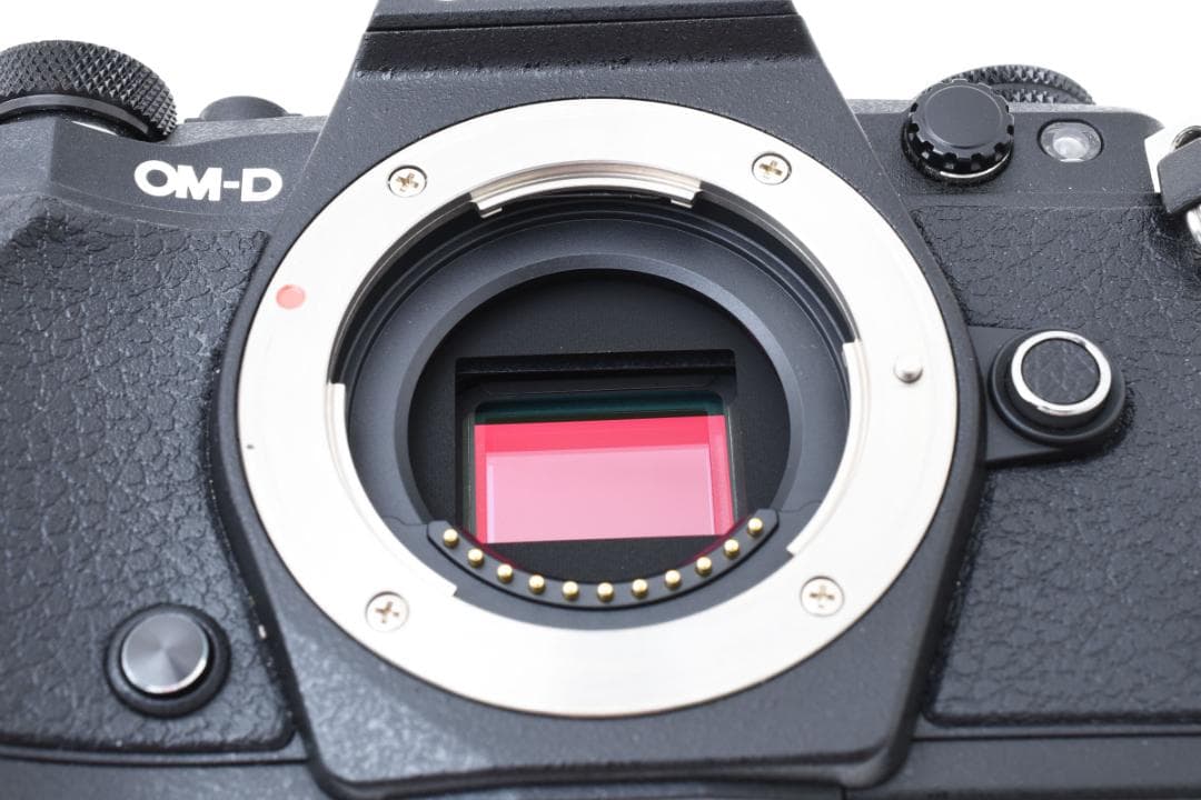 OLYMPUS OM-D E-M5 Mark II ミラーレスカメラ
