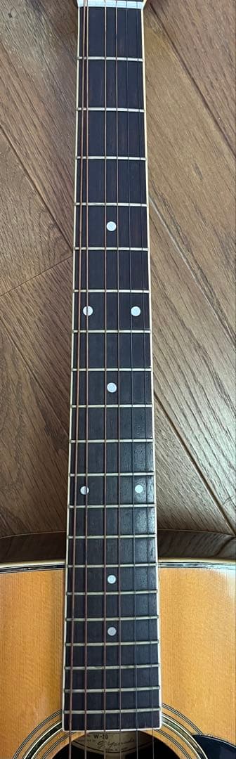 Morris アコースティックギター