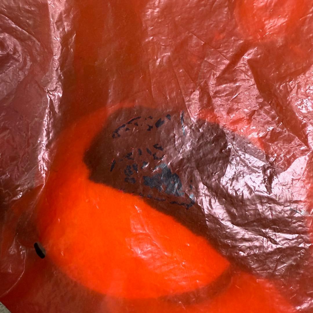 Familia Classic SNOOPY / スヌーピーぬいぐるみ＊未開封