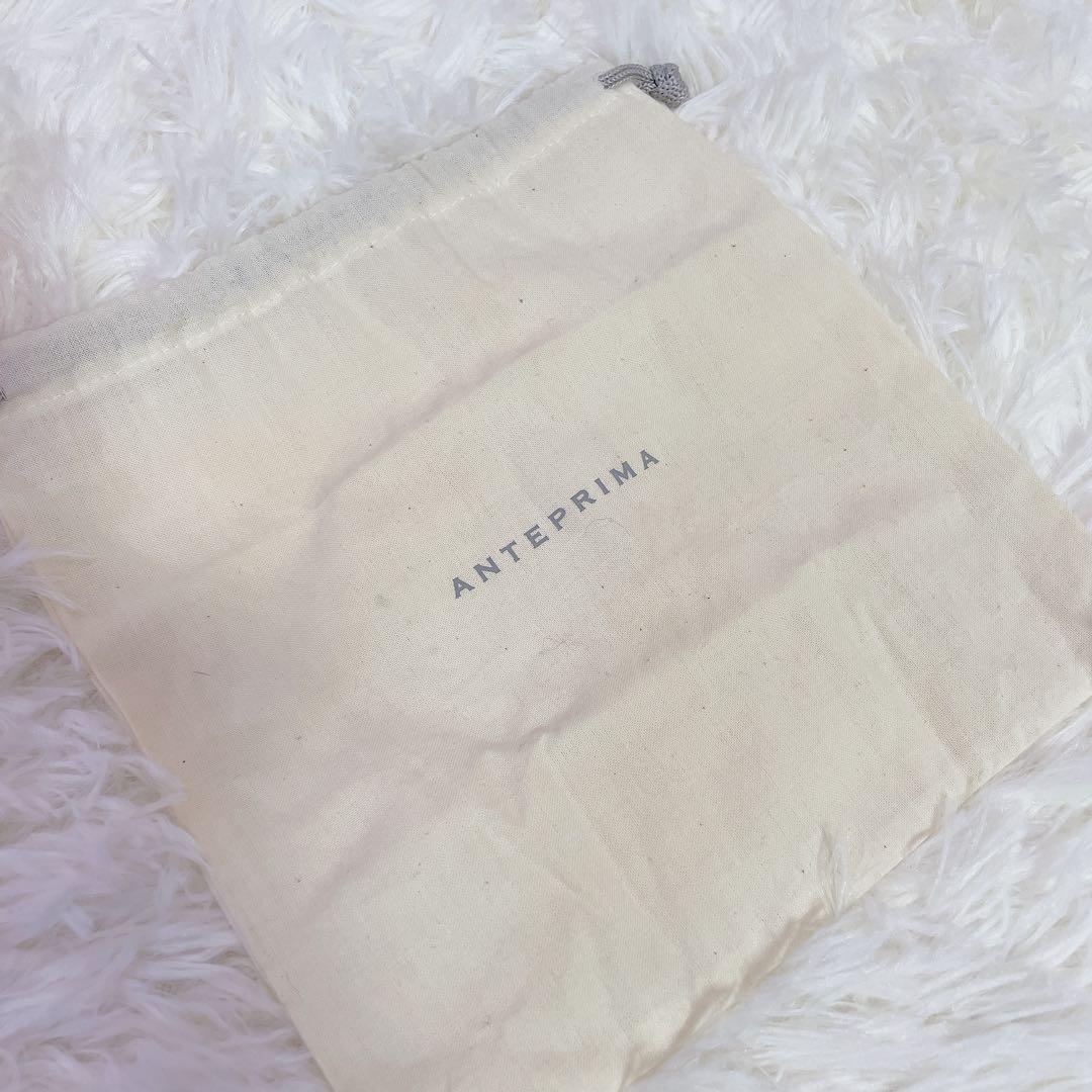 極美品　アンテプリマ　ワイヤーバッグ　リボン　ガーラパーティーバッグ