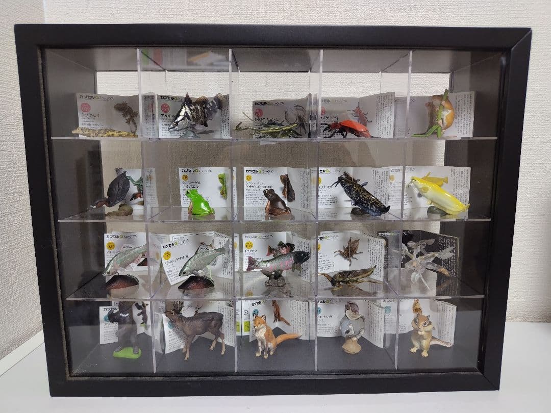 カプセルQ　日本の動物84体セット　ノーマルコンプ