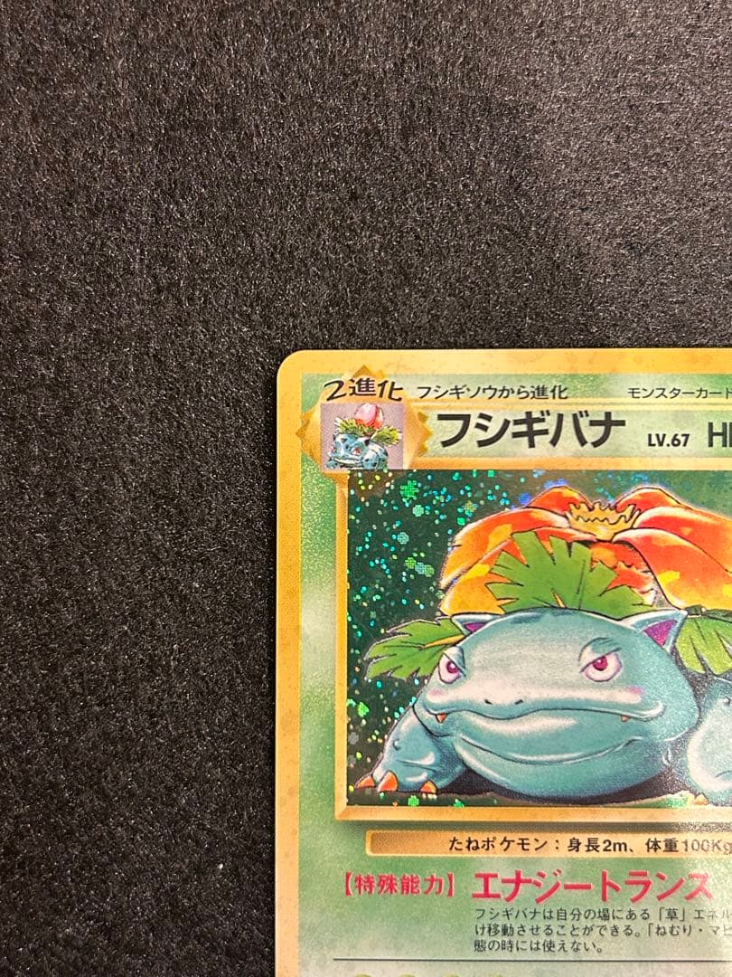 【美品】フシギバナ ポケカ 旧裏 【絶版】