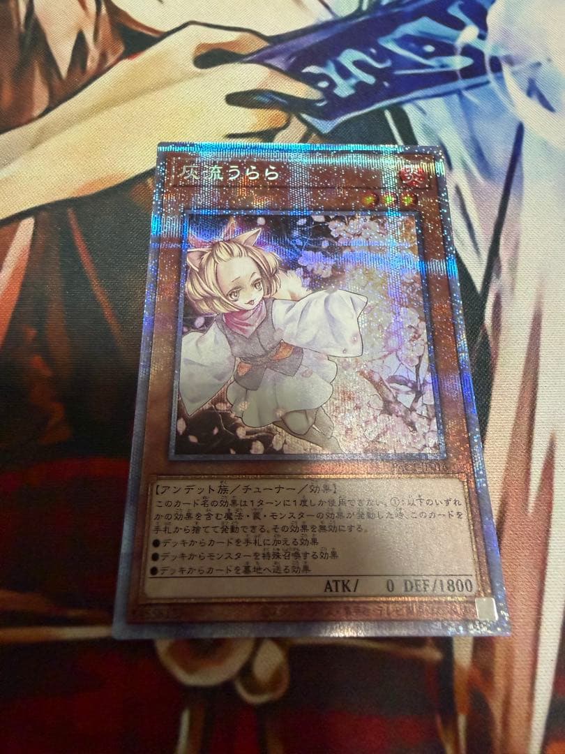 遊戯王　灰流うらら　はるうらら　プリズマ　プリズマティックシークレット