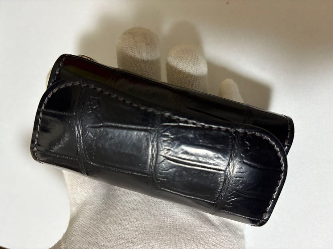 ワイルドスワンズ　クリッパー３　クロコダイル