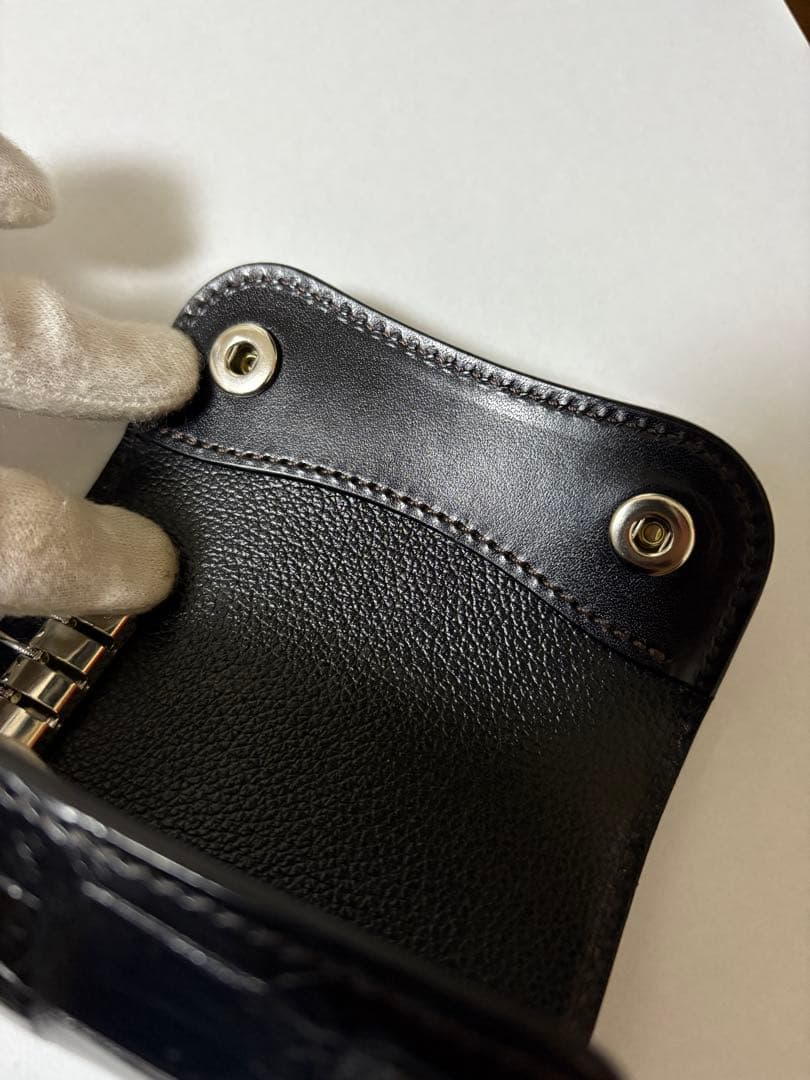 ワイルドスワンズ　クリッパー３　クロコダイル