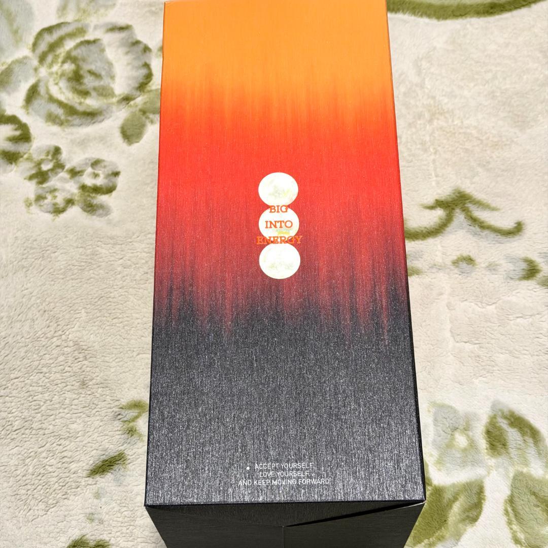 LABUBU 新品未開封 ROCK THE UNIVERSE ぬいぐるみ