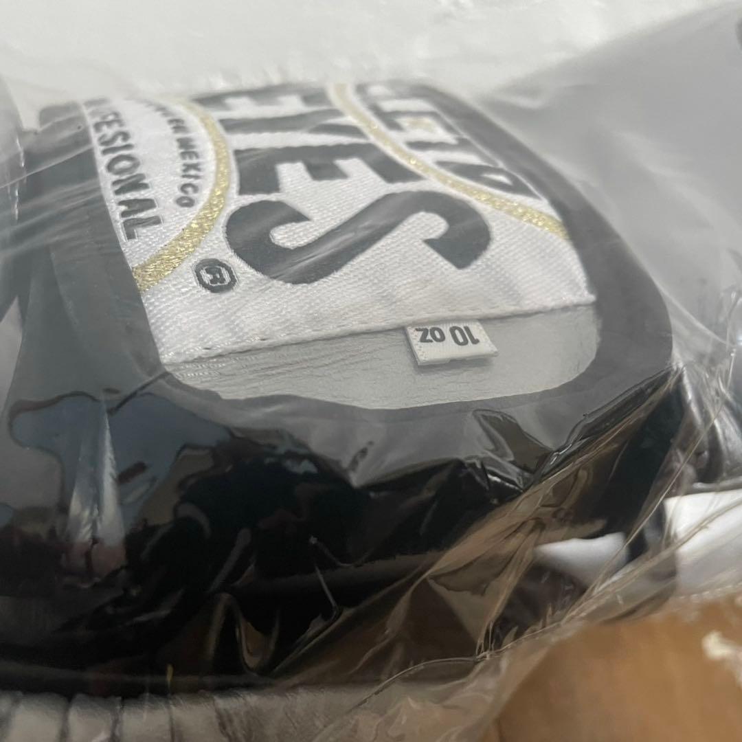 レイジェス 10オンス グローブ 新品未使用