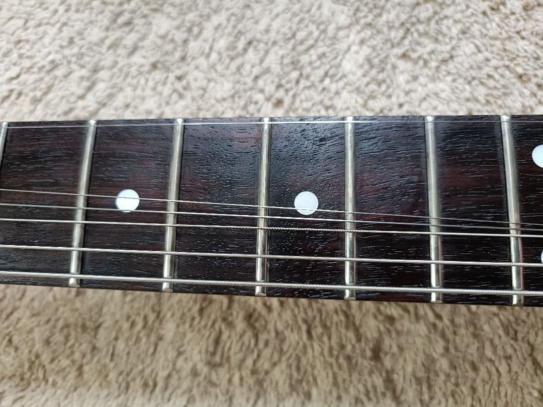 【日本製フジゲン】Ibanez RG685 Burnt Trans Purple