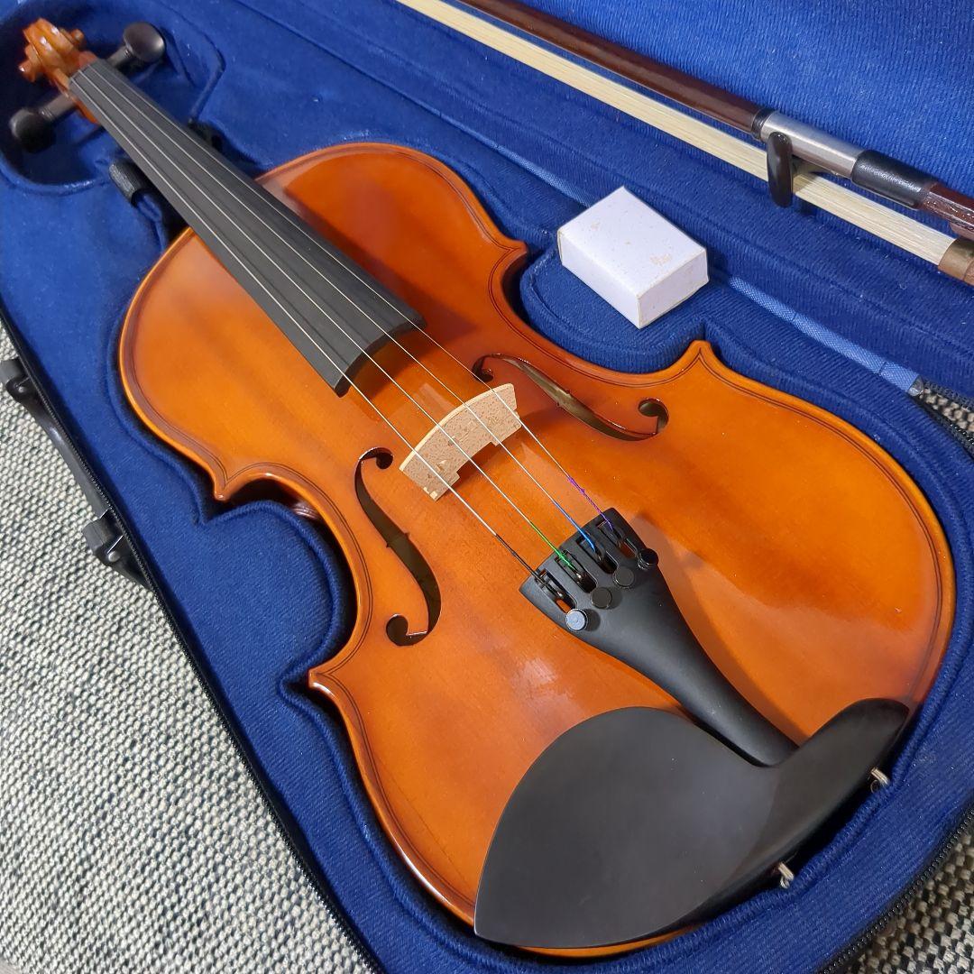 Carlo giordano VS-1 4/4 カルロジョルダーノ 2015年