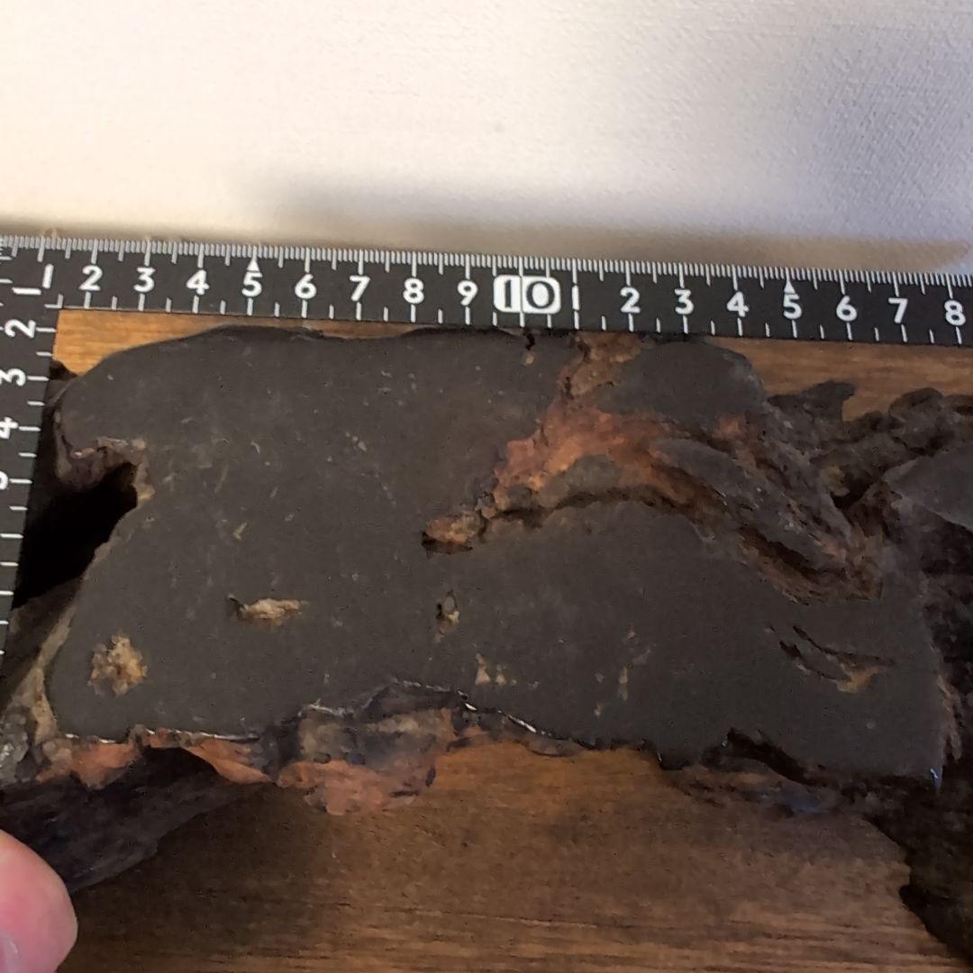 枯木　古木　木製仏像台 黒漆塗り　波濤彫刻　古美術　骨董