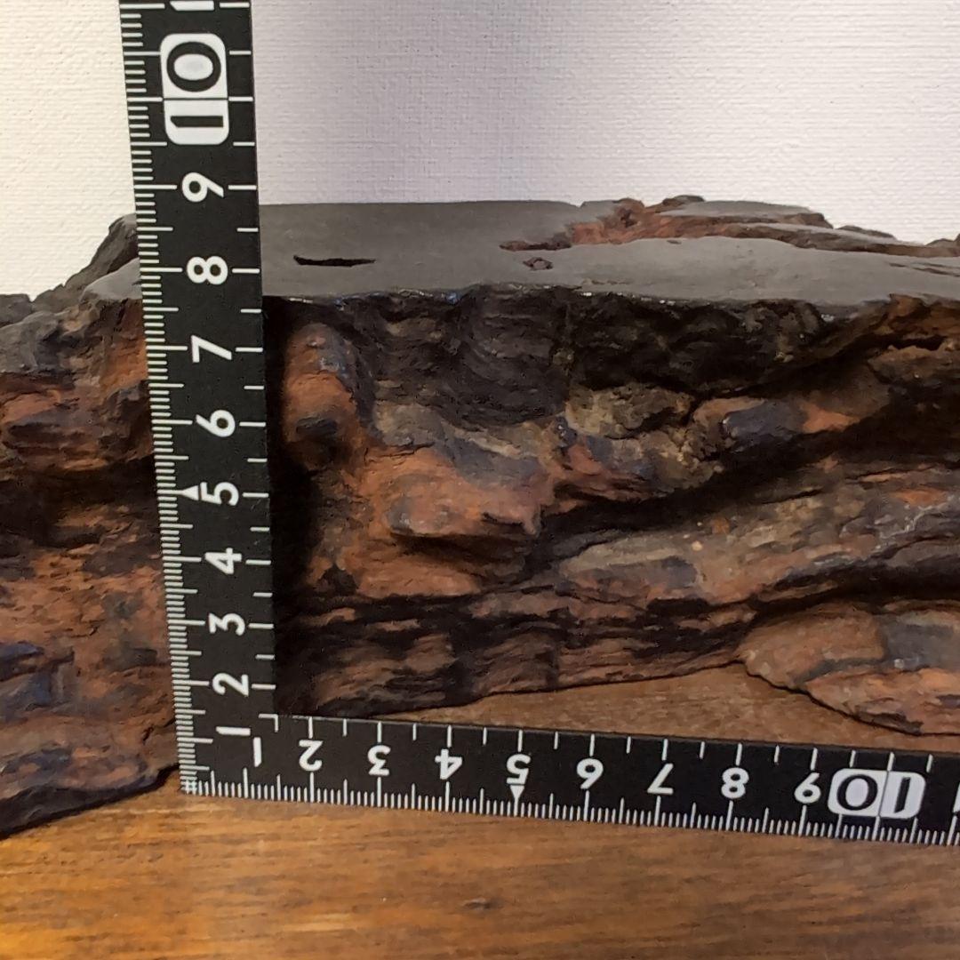 枯木　古木　木製仏像台 黒漆塗り　波濤彫刻　古美術　骨董