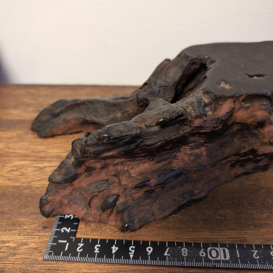枯木　古木　木製仏像台 黒漆塗り　波濤彫刻　古美術　骨董