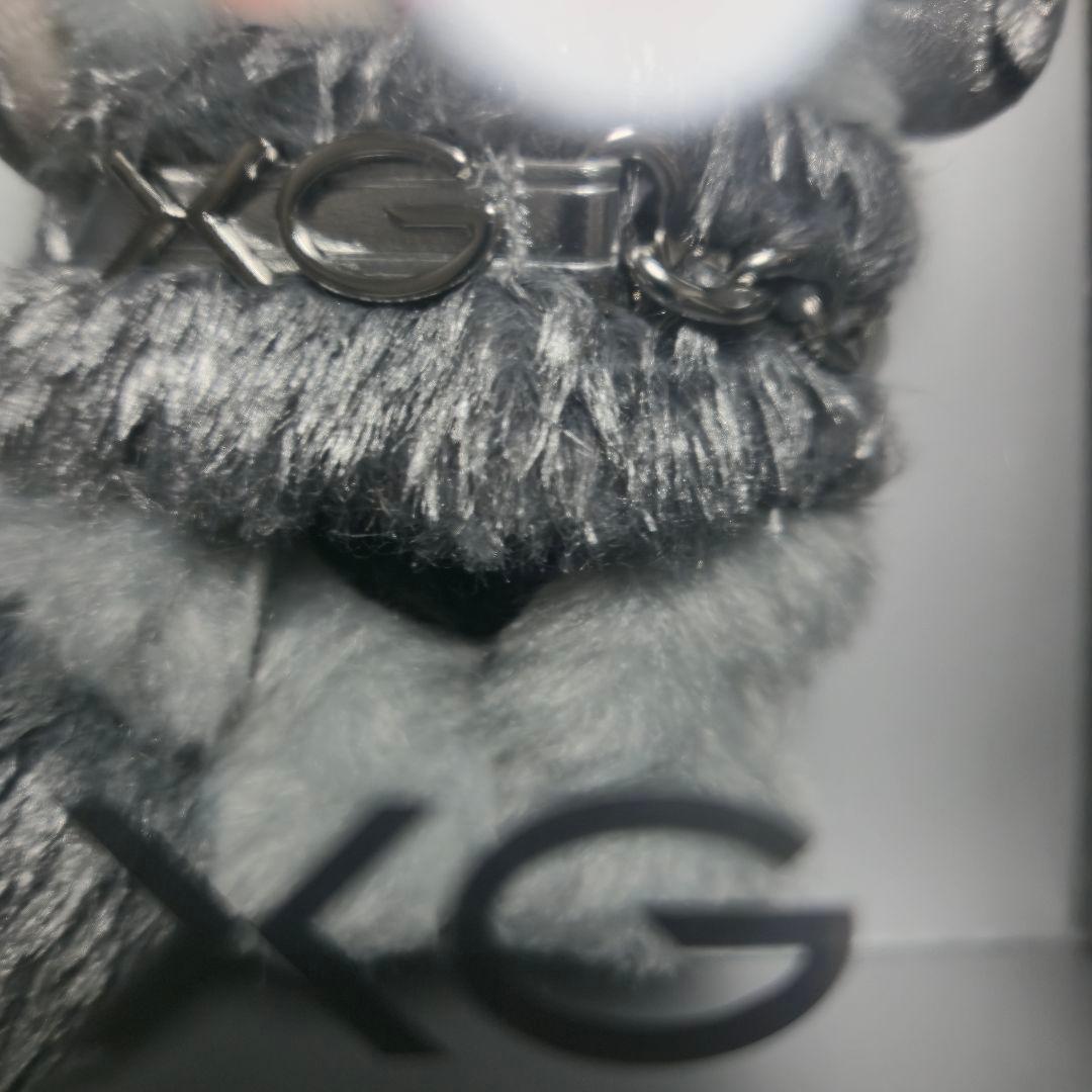 SKULLPANDA XG ぬいぐるみ POPMART 日本限定