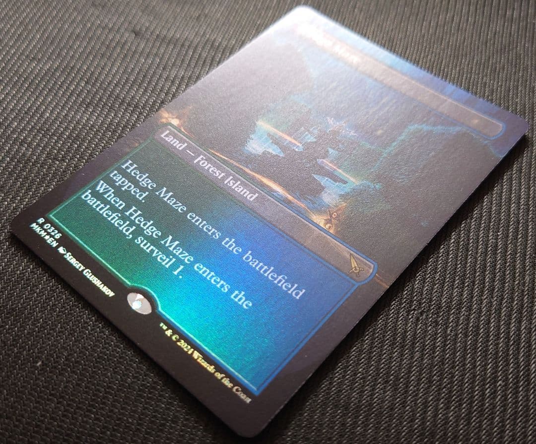 mtg 稀少 迷路庭園 ボーダーレス FOIL 英語版 mkm edh