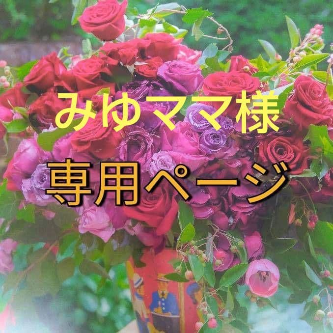 みゆママ（感謝）/12