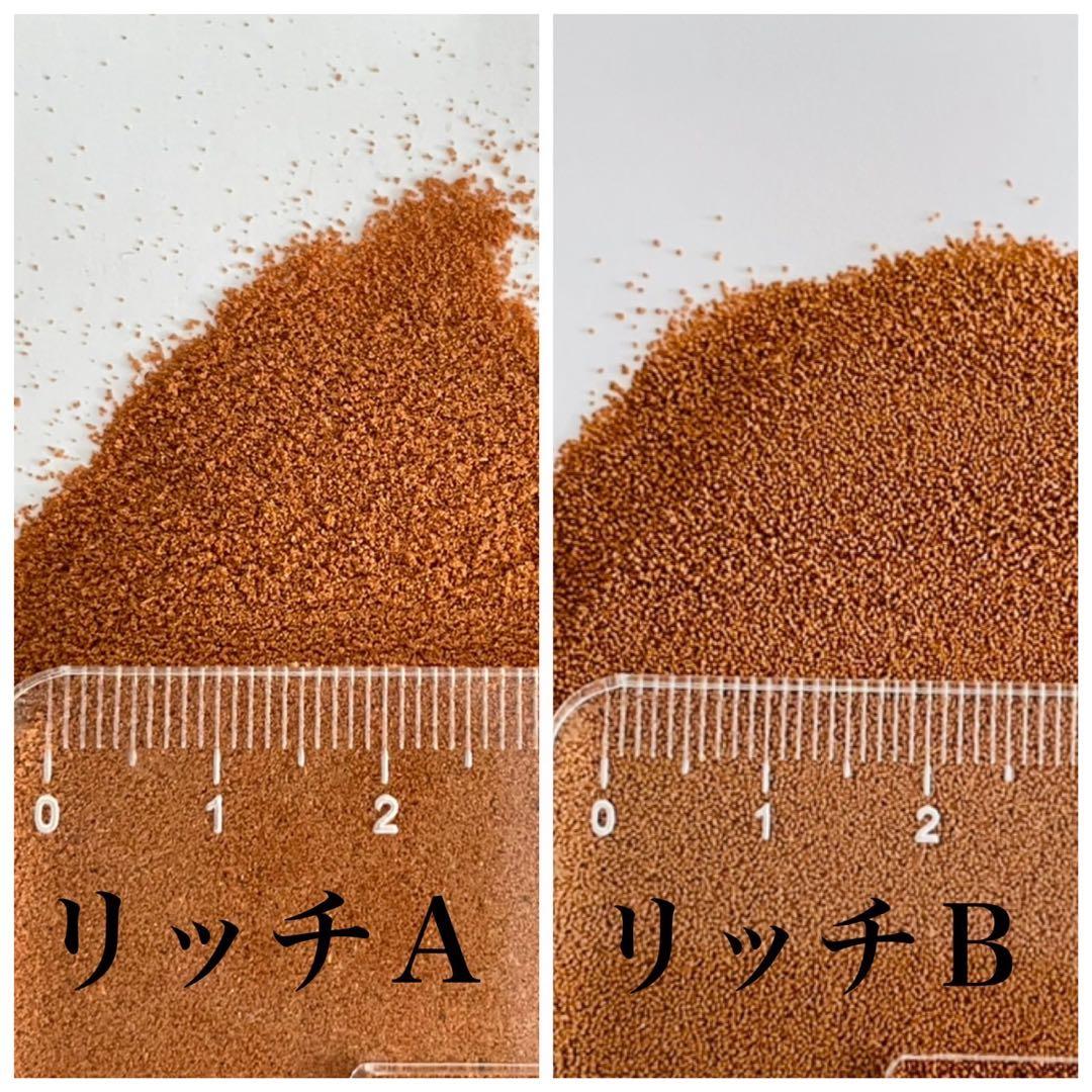 ちゅけ　科学飼料研究所 リッチA B 各2kg