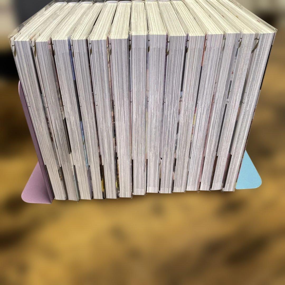 彼女が公爵邸に行った理由 全14巻　クリアファイル他特典付