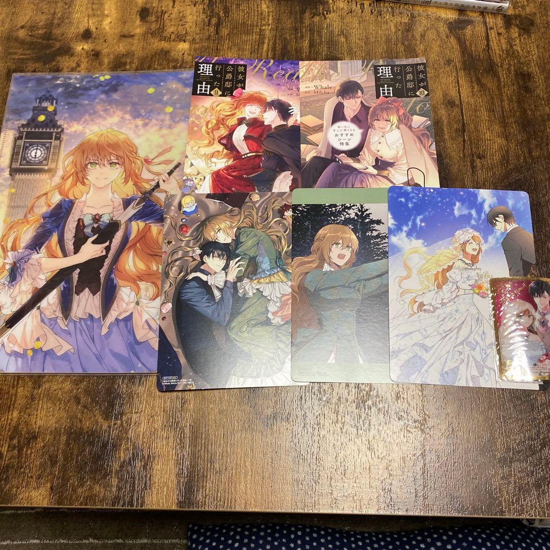 彼女が公爵邸に行った理由 全14巻　クリアファイル他特典付